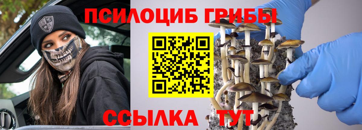 Галлюциногенные грибы Magic Shrooms Феодосия